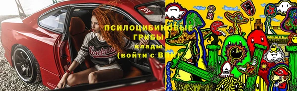 винт Абаза