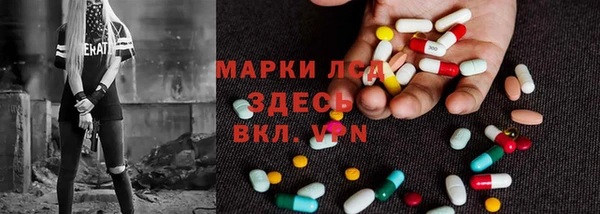 винт Абаза