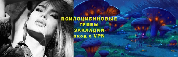 винт Абаза