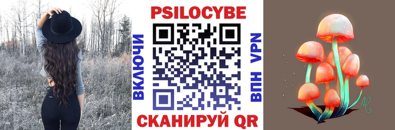 Псилоцибиновые грибы Psilocybine cubensis Комсомольск-на-Амуре